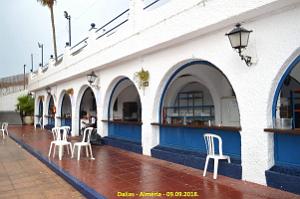 36 DALIAS (116)